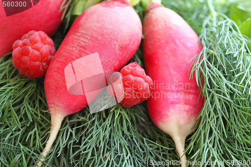 Image of Reddish and raspberry