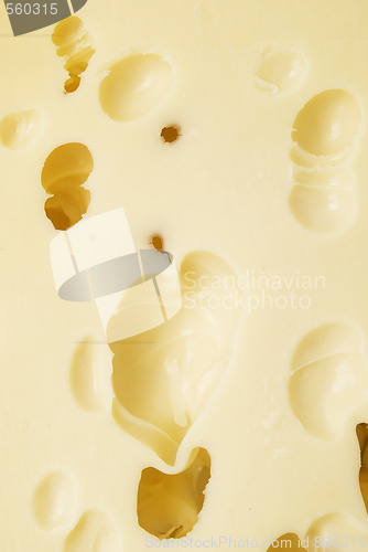 Image of cheese background