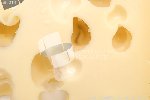 Image of cheese