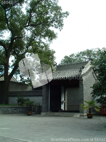 Image of Old door and Tree