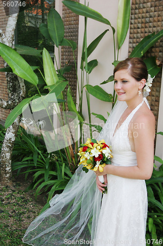 Image of Bride