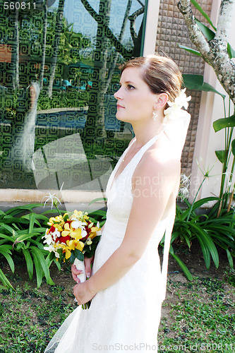 Image of Beautiful bride