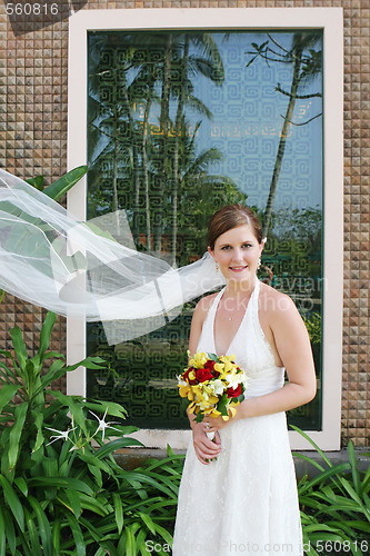 Image of Bride