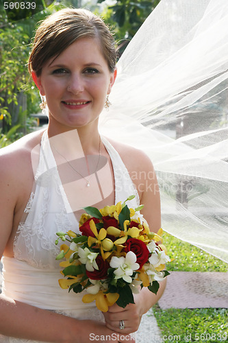 Image of Beautiful bride