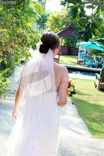 Image of Beautiful bride