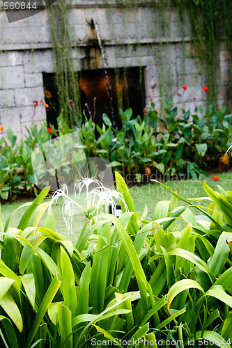 Image of Garden