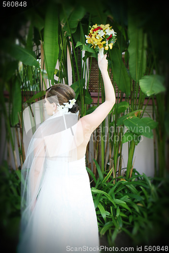 Image of Beautiful bride