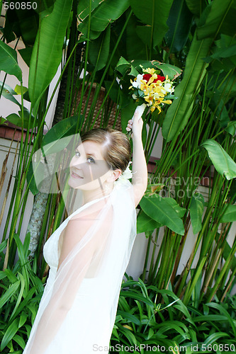 Image of Beautiful bride