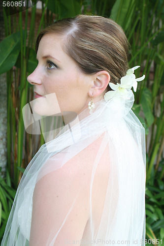Image of Beautiful bride