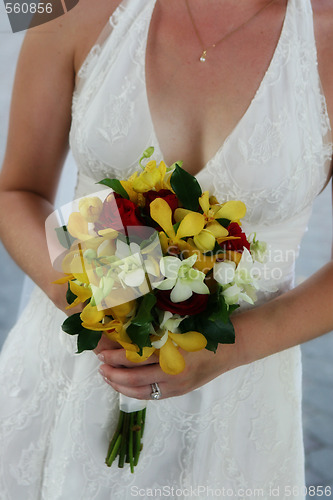 Image of Bride