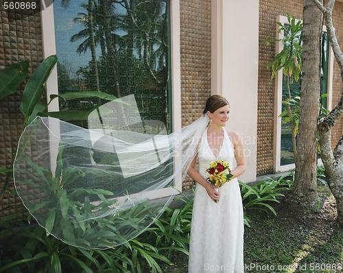 Image of Beautiful bride