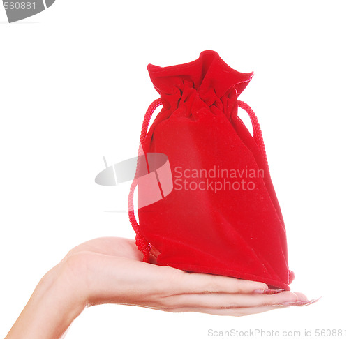 Image of red bag