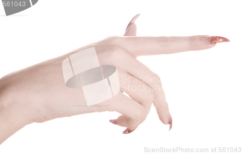 Image of manicured hand