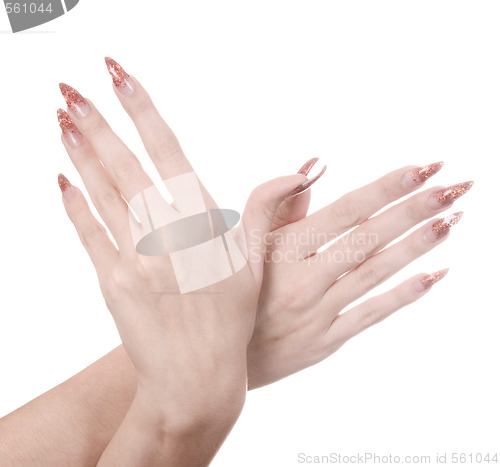 Image of manicured hands