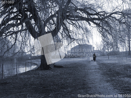 Image of Foggy day in the park