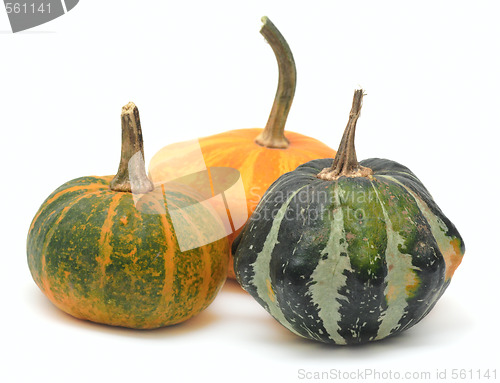 Image of Three fancy pumpkins isolated over white