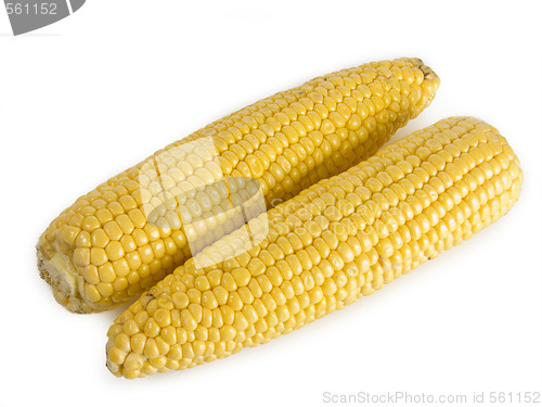 Image of Corn