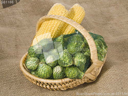 Image of Farm Products