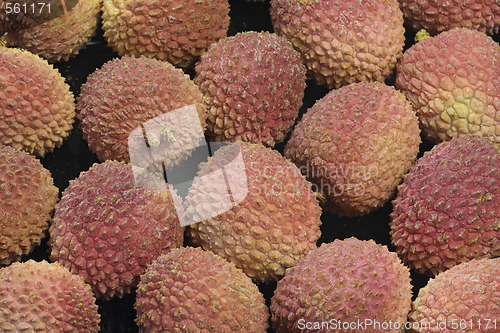 Image of Lychee
