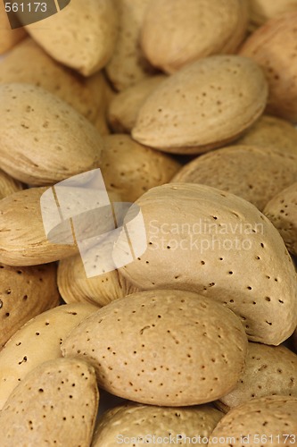 Image of Almonds