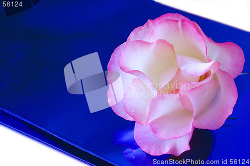 Image of a rose on a gift