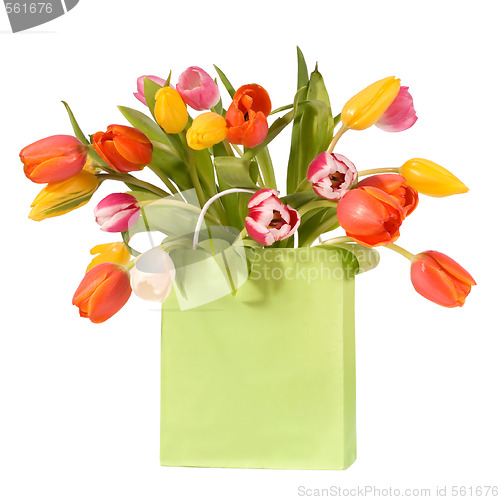 Image of tulips