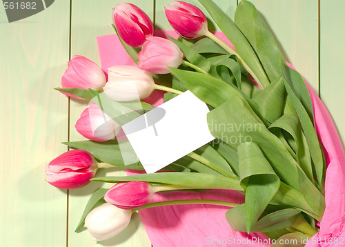 Image of tulips