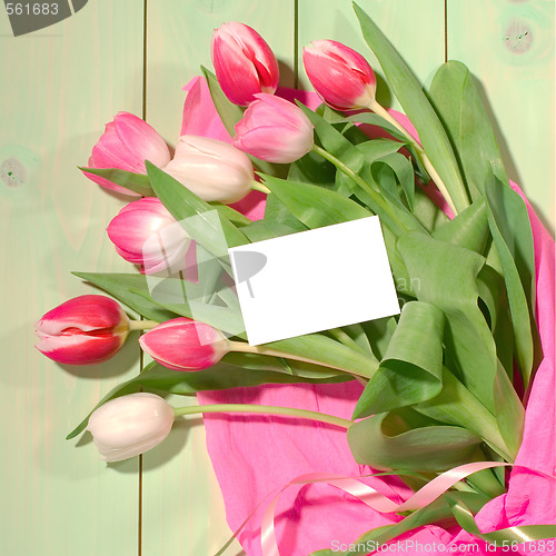 Image of tulips