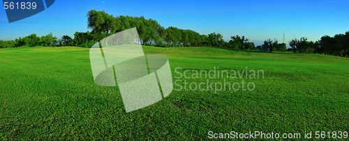 Image of Green field panorama