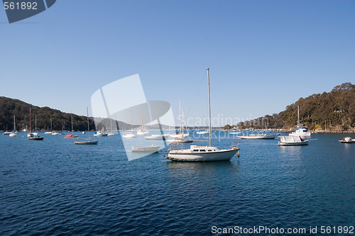 Image of Moored Boats