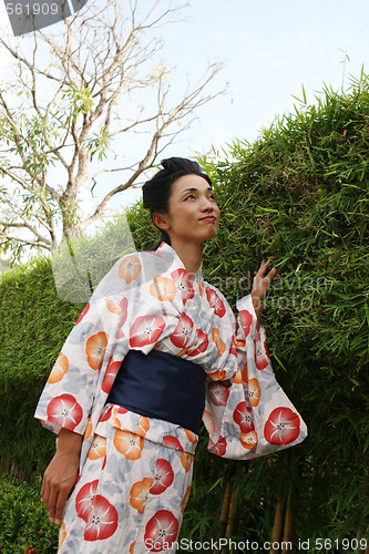 Image of Geisha