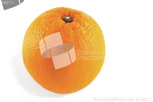 Image of whole orange