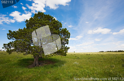 Image of Spring landscape