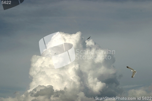 Image of thundercloud