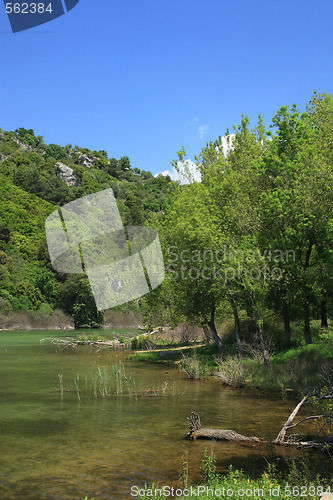 Image of summer landscape 