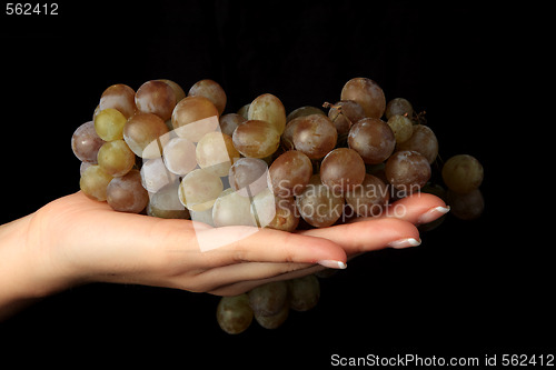Image of Grapes in a woman hand