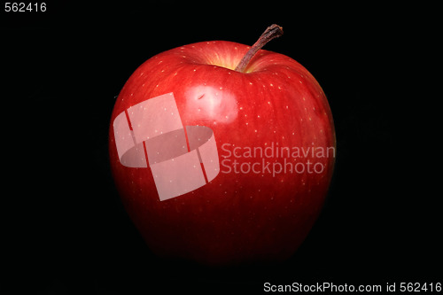 Image of Red apple