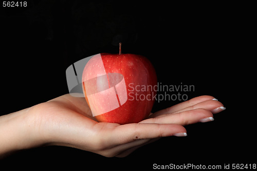 Image of Red Apple 