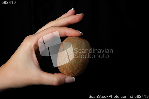 Image of Kiwi