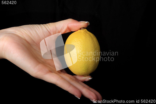 Image of Lemon