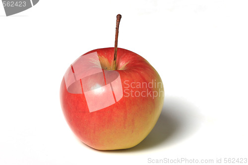Image of Apple 