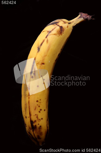 Image of Banana