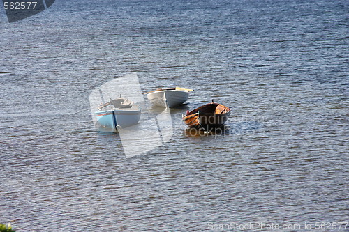 Image of tree row boats