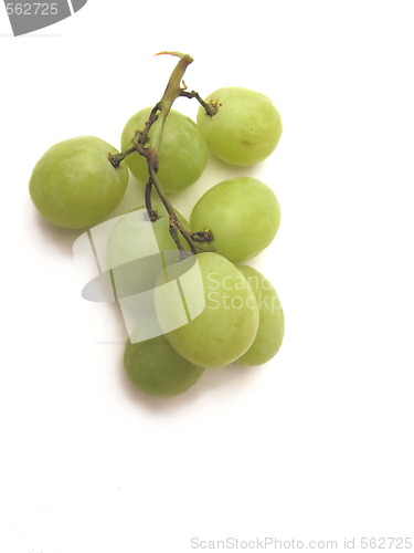 Image of grapes