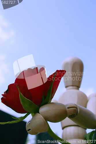 Image of holding a red rose  for a loved one