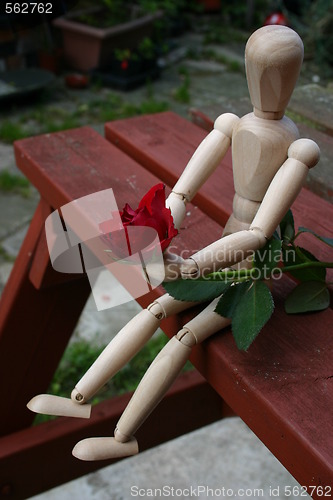 Image of red rose  for a loved one closeup