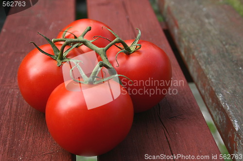 Image of vine tomatoes