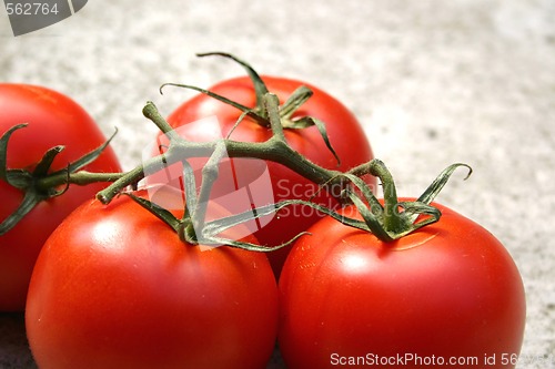 Image of vine tomatoes