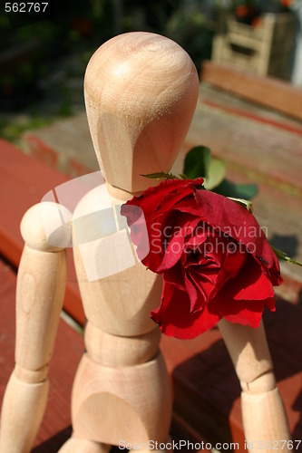 Image of wearing a red rose  