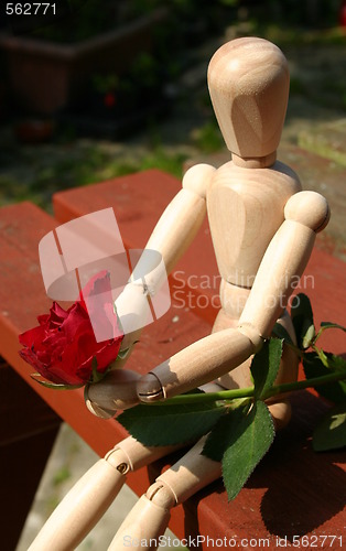 Image of holding a red rose  for a loved one